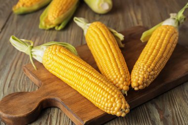 Tahta arka planda taze mısır koçanları