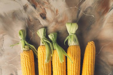 Masada taze mısır koçanları