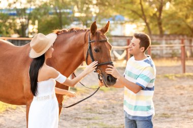 Dışarıda şirin atları olan genç bir çift.