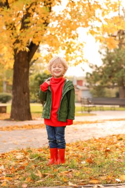 Sonbahar parkında küçük sevimli bir çocuk.