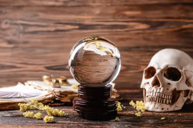 Kristal falcı küresi, büyü kitabı ve ahşap masada insan kafatası.