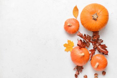 Beyaz arkaplanda güzel sonbahar kompozisyonu