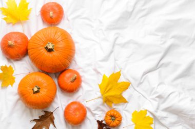 Beyaz kumaş arkaplanda güzel sonbahar kompozisyonu