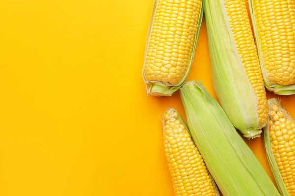 彩色背景的新鲜玉米芯 — 图库照片