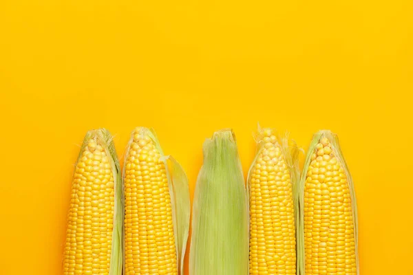 Fresh Corn Cobs Color Background — Stock Photo, Image