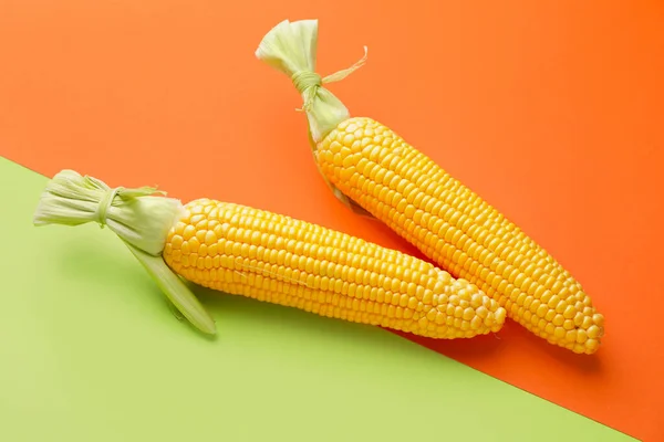 Frische Maiskolben Auf Farbigem Hintergrund — Stockfoto