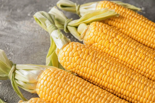 Fresh Corn Cobs Grey Background — Stock Photo, Image