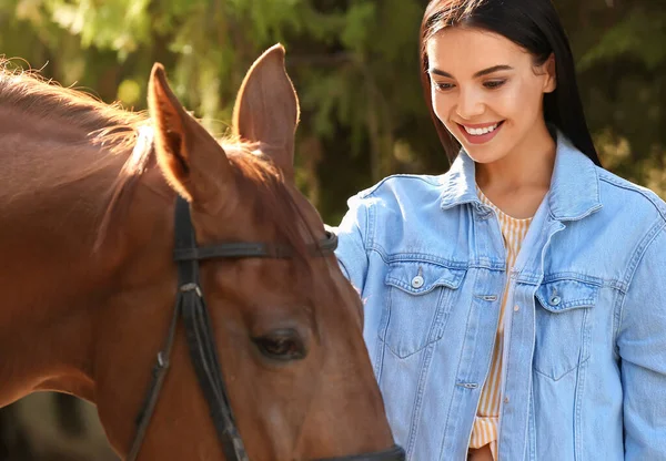 Beautiful Young Woman Cute Horse Outdoors — Stock Photo, Image