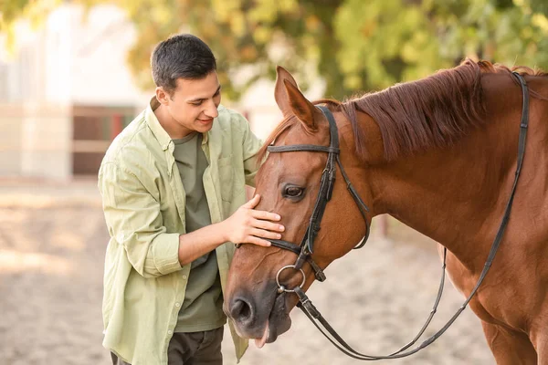 Hombre Joven Con Lindo Caballo Aire Libre —  Fotos de Stock