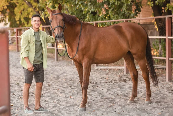 Young Man Cute Horse Outdoors — Stock Photo, Image