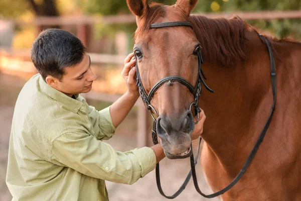 Young man with cute horse outdoors