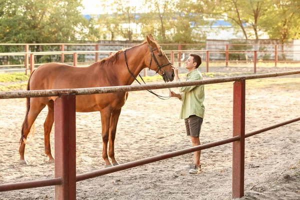 Young Man Cute Horse Outdoors — Stock Photo, Image