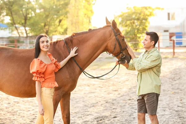 Young Couple Cute Horse Outdoors — Stock Photo, Image