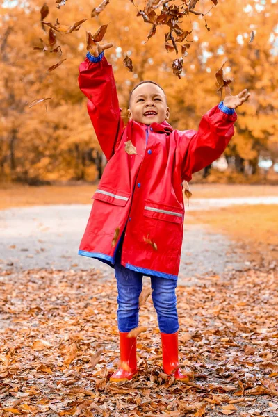 Cute African American Boy Playing Leaves Autumn Park — Stock Photo, Image