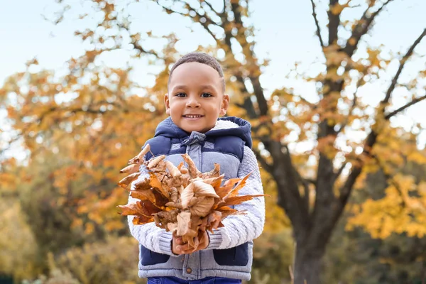 Lindo Chico Afroamericano Jugando Con Hojas Parque Otoño — Foto de Stock