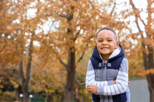 Cute African American Boy Autumn Park — Stock Photo, Image