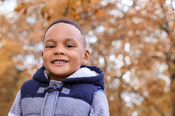 Cute African American Boy Autumn Park — Stock Photo, Image