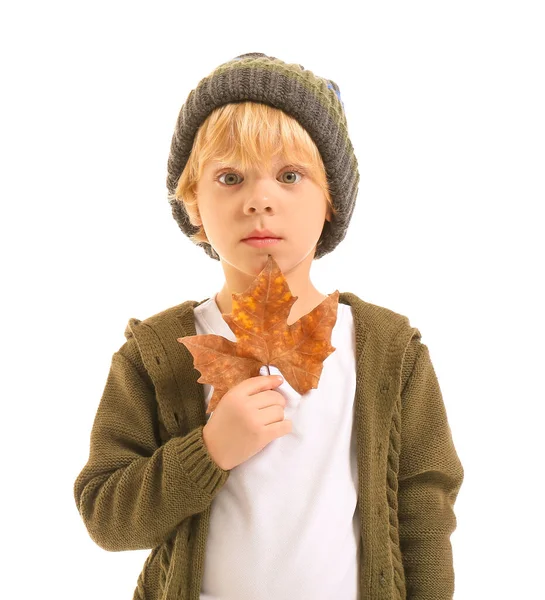 Lindo Niño Con Hoja Otoño Sobre Fondo Blanco —  Fotos de Stock