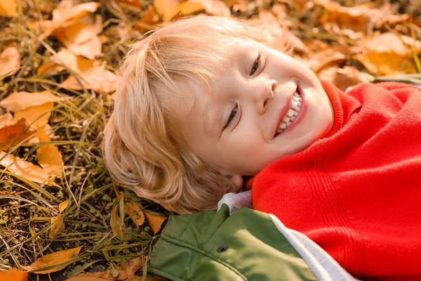 Cute Little Boy Lying Grass Autumn Park — Stock Photo, Image