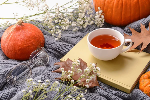 Book Cup Tea Autumn Leaves Pumpkins Warm Plaid — Stock Photo, Image