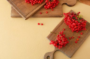 Renkli taze viburnum çilekli tahtalar