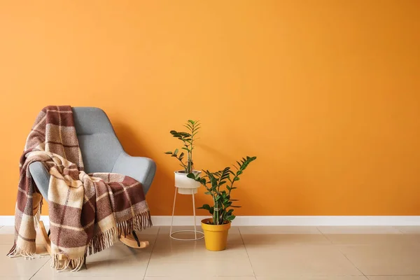 Stylish Armchair Plaid Houseplants Color Wall Room — Stock Photo, Image