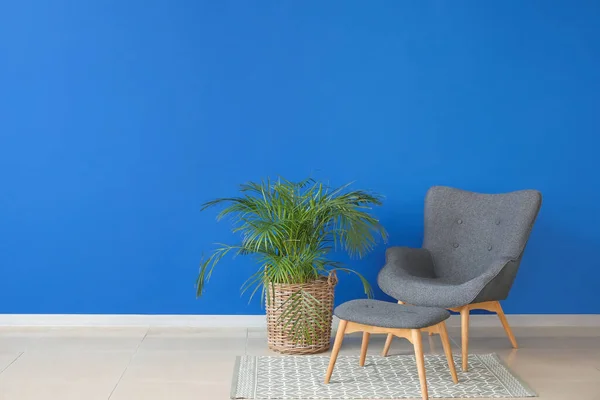 Elegante Sillón Con Planta Interior Cerca Pared Color Habitación — Foto de Stock