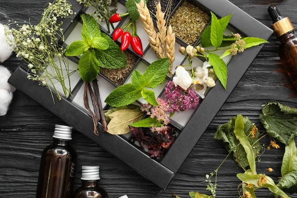 Ingredients Preparing Potions Alchemist Table — Stock Photo, Image