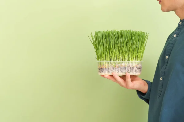 Young Man Wheatgrass Color Background — Stock Photo, Image