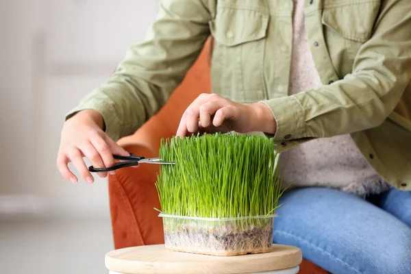 Young Woman Cutting Wheatgrass Home — Stock Photo, Image