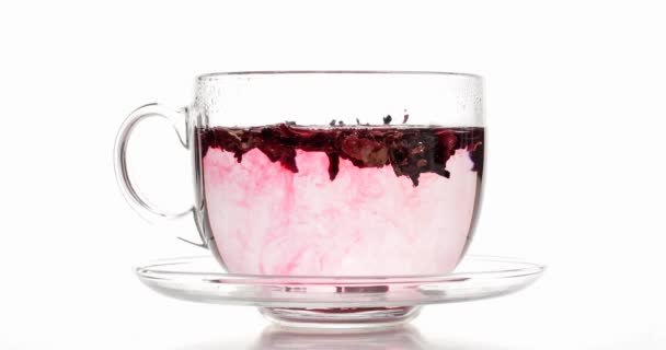 Brewing Tasty Hibiscus Tea Glass Cup White Background — Stock Video