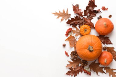 Beyaz arkaplanda güzel sonbahar kompozisyonu