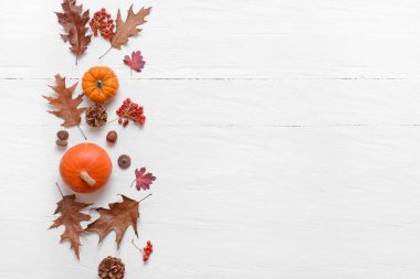Beyaz ahşap arka planda güzel sonbahar kompozisyonu