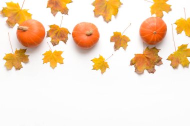 Beyaz arkaplanda güzel sonbahar kompozisyonu