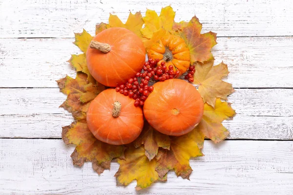 Krásná Podzimní Kompozice Bílém Dřevěném Pozadí — Stock fotografie