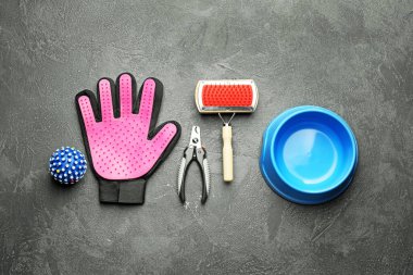 Koyu arkaplanda hayvan bakım aksesuarları