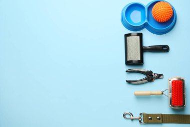 Renk arkaplanındaki hayvan bakım aksesuarları