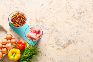 Hafif arka planda kuru ve taze evcil hayvan yiyeceği