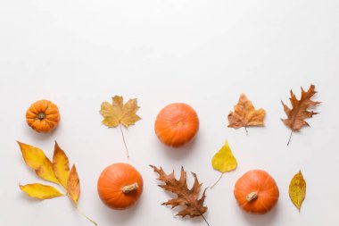 Beyaz arkaplanda güzel sonbahar kompozisyonu