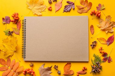 Renkli arkaplanda defter ve sonbahar yaprakları