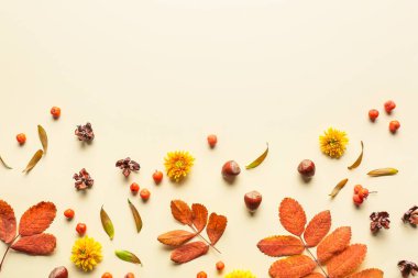 Renkli arkaplanda parlak sonbahar yapraklarına sahip kompozisyon