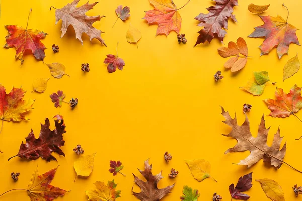 Telaio Fatto Foglie Autunnali Sfondo Colore — Foto Stock