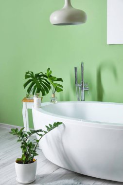 Yeşil duvarlı, modern, şık bir banyo.