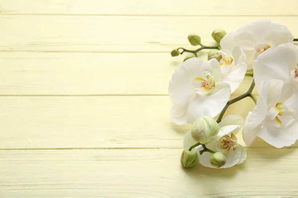 Belles Fleurs Orchidée Sur Fond Bois Couleur — Photo