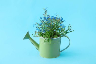 Renk arkaplanındaki çiçekleri sulama kutusu