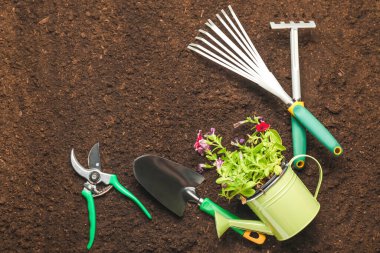 Supplies for gardening with plants on soil clipart