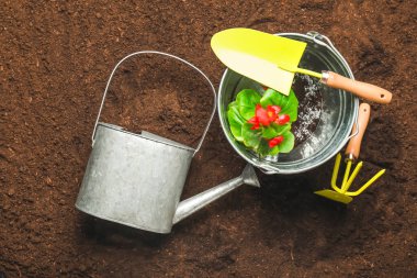 Supplies for gardening with plants on soil clipart