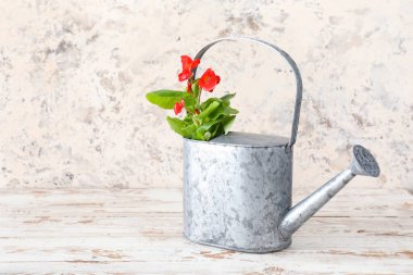 Işık arkaplanındaki çiçekleri sulama kutusu