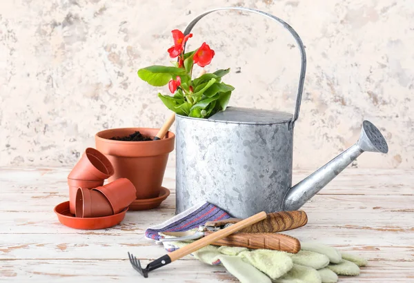 Set Gardening Tools Light Background — Stock Photo, Image