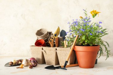 Gardening tools and pot flower on light background clipart